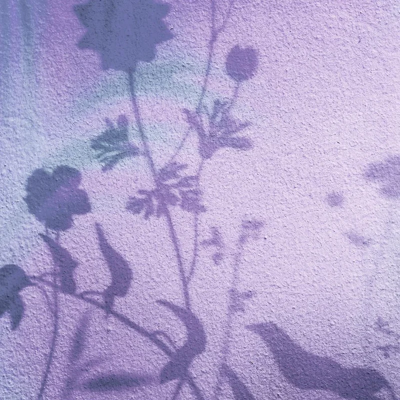 2026_06_09_58063