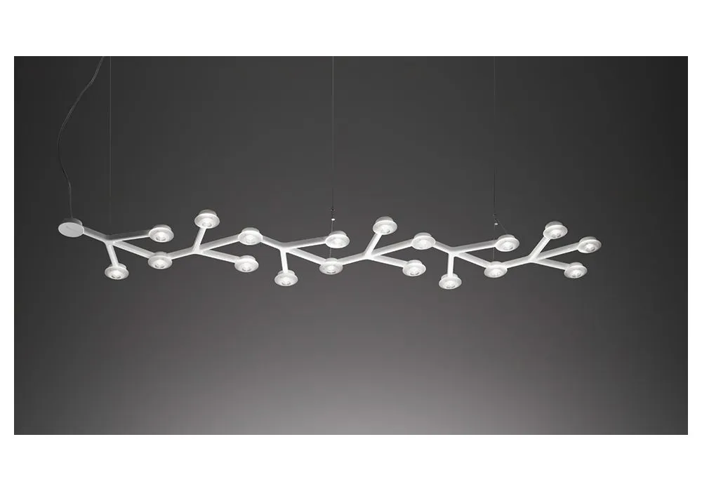 2026_06_10_113768